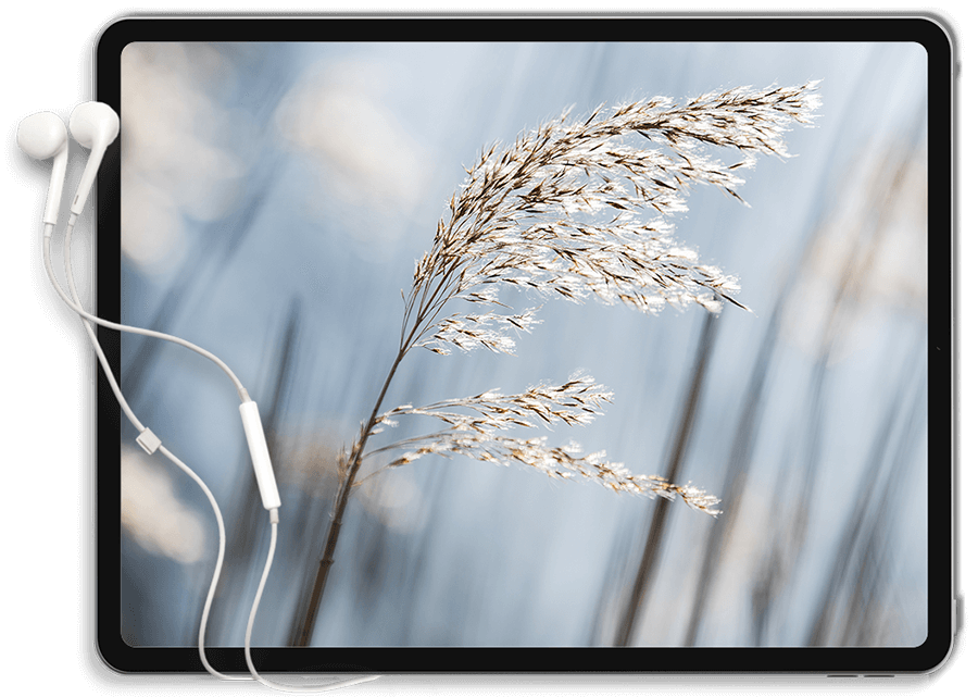 https://enlightenfy.com/akanksha/wp-content/uploads/2022/01/Tablet.png